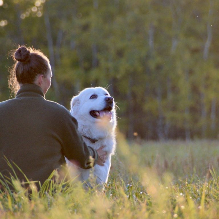 Eine Person sitzt im Gras und streichelt einen lächelnden Golden Retriever.