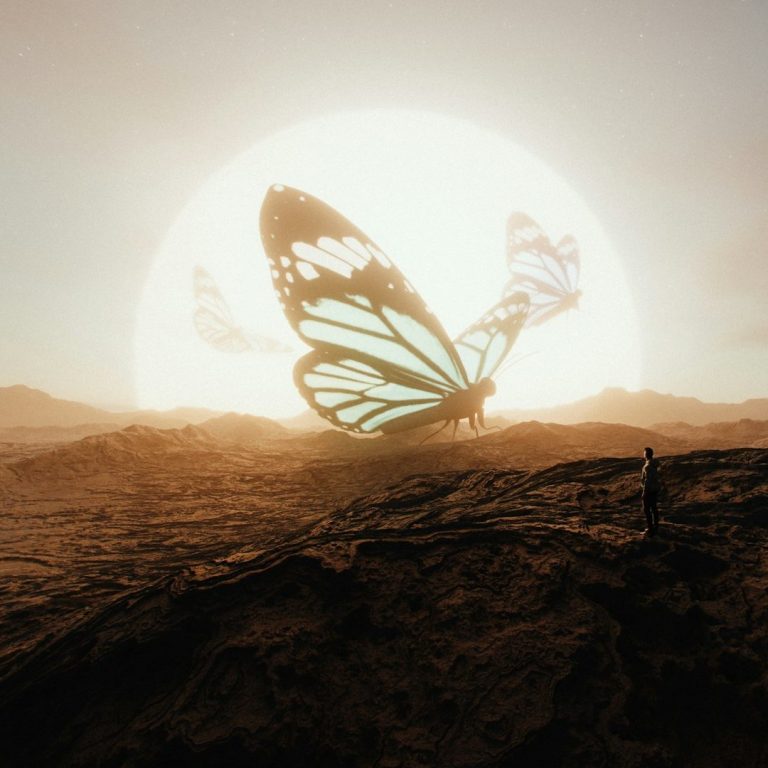 Ein großer Schmetterling vor der aufgehenden Sonne über einer felsigen Landschaft.