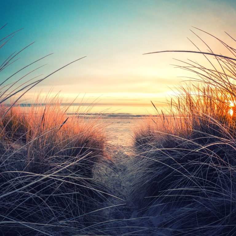 Strandlandschaft mit hohem Gras und Sonnenuntergang am Horizont.