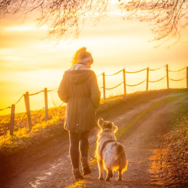 Eine Person mit Hund spaziert bei Sonnenuntergang auf einem Weg entlang einem Zaun.
