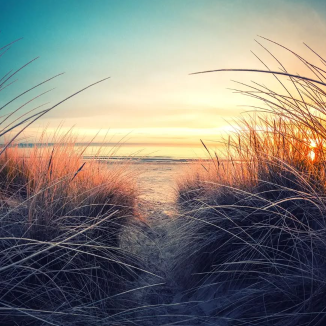 Sonnenuntergang über einer Strandszene mit hohem Gras im Vordergrund.